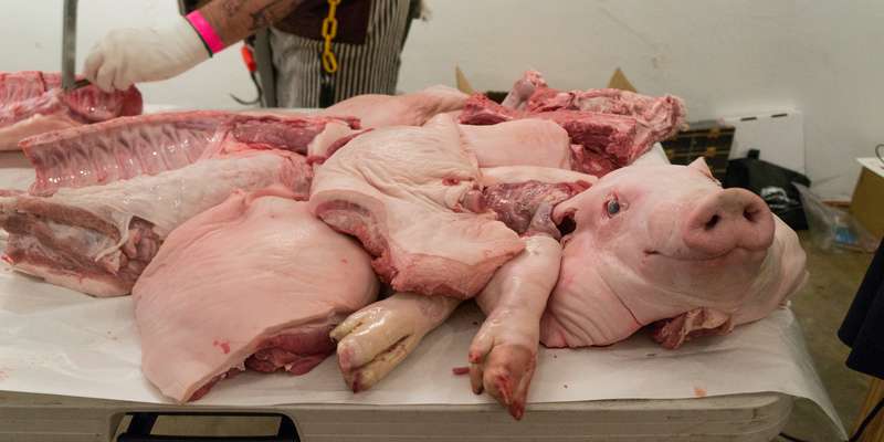 Fresh Pork