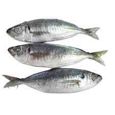 Horse Mackerel (Kpanla)