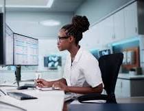 Sales Executive Officer