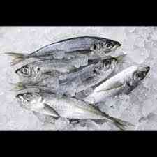 Vasajam Frozen Foods logo