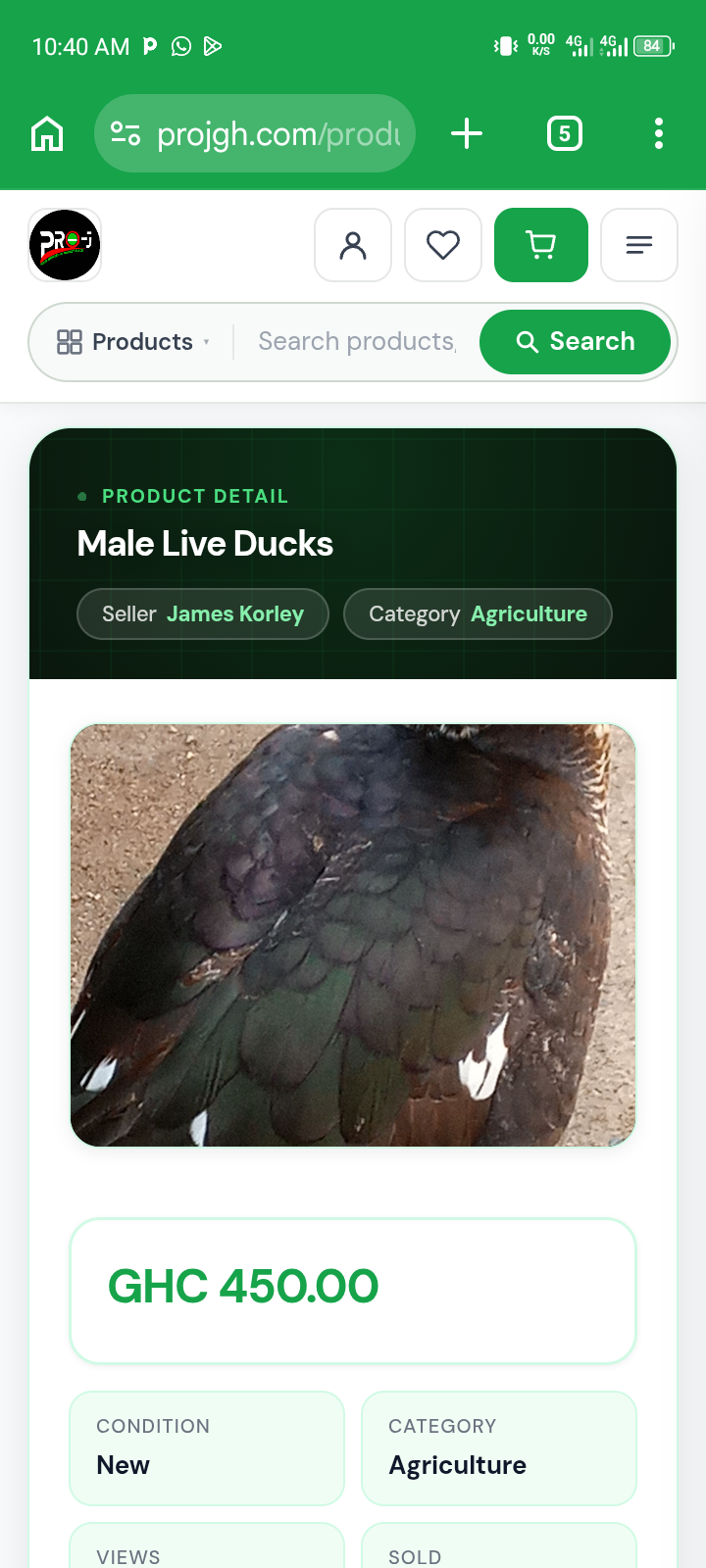 Male Live Ducks