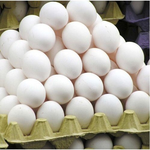Fresh Eggs At Affordable Prices